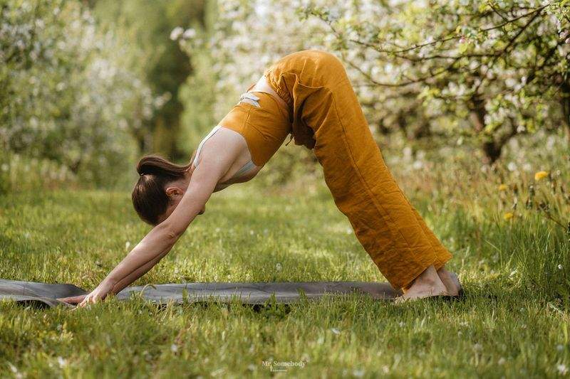 Meditation Workshops